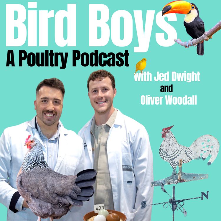 cover art for Weekend Round-up - Wimpole, Bird World, Newark & More!