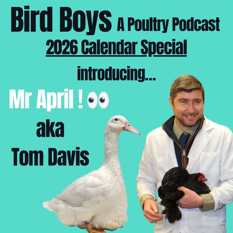 cover art for Introducing Mr April - Tom Davis! 