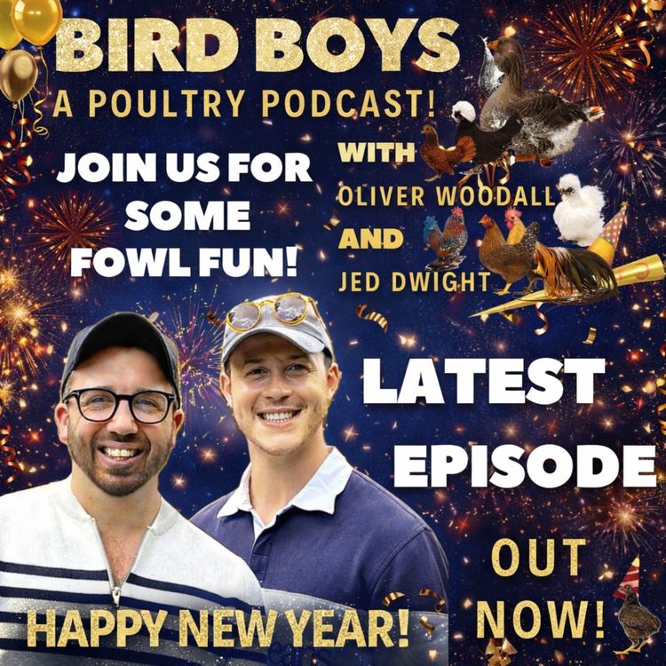 cover art for New Year resolutions!