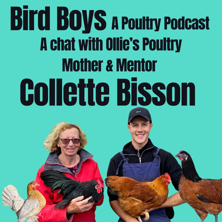 cover art for The boys chat with Ollie’s Poultry Mother & Mentor Collette Bisson! 