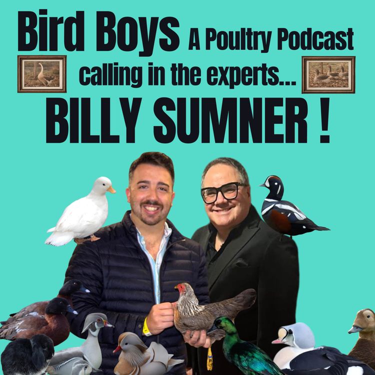 cover art for Calling in the experts…Billy Sumner!