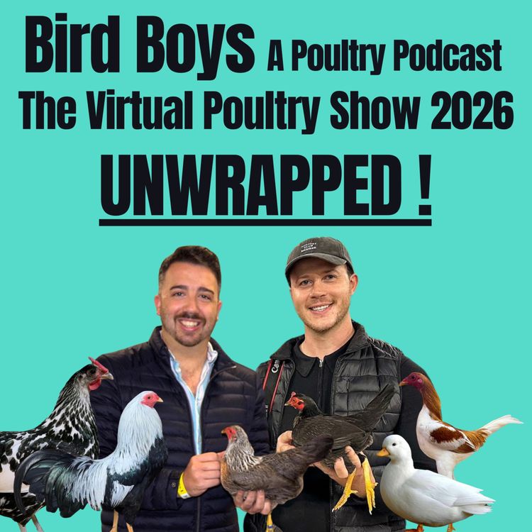 cover art for The Virtual Poultry Show 2026 - UNWRAPPED! 