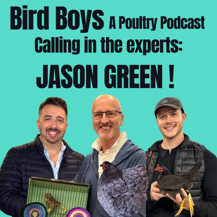 cover art for Calling in the experts: Jason Green!