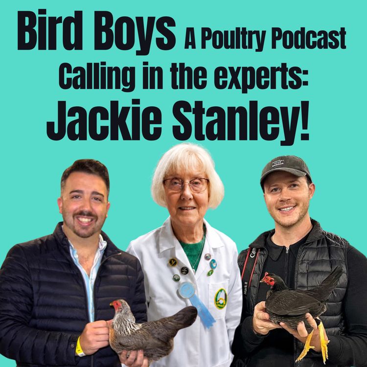 cover art for Calling in the experts: Jackie Stanley