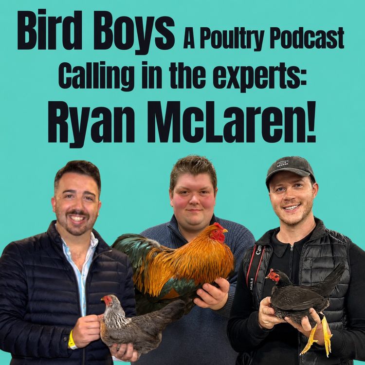 cover art for Calling in the experts: Ryan McLaren