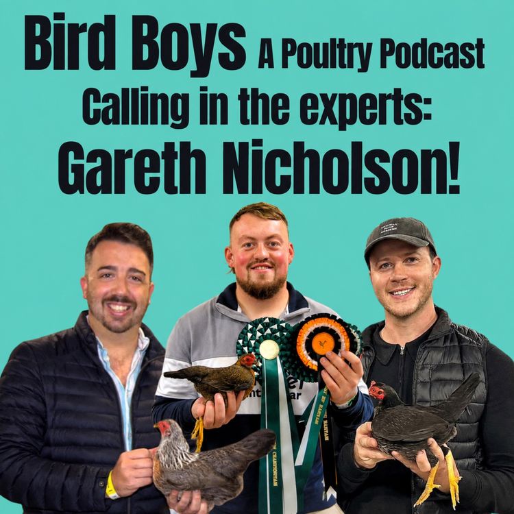 cover art for Calling in the experts: Gareth Nicholson