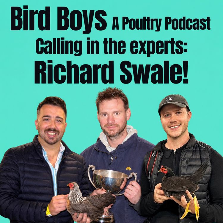 cover art for Calling in the experts: Richard Swale