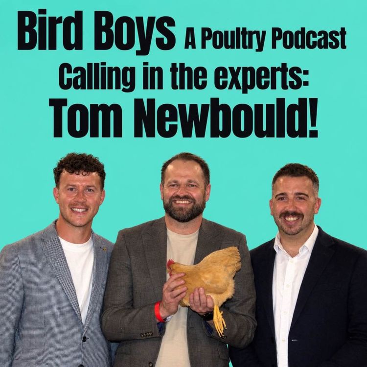 cover art for Calling in the experts: Tom Newbould!