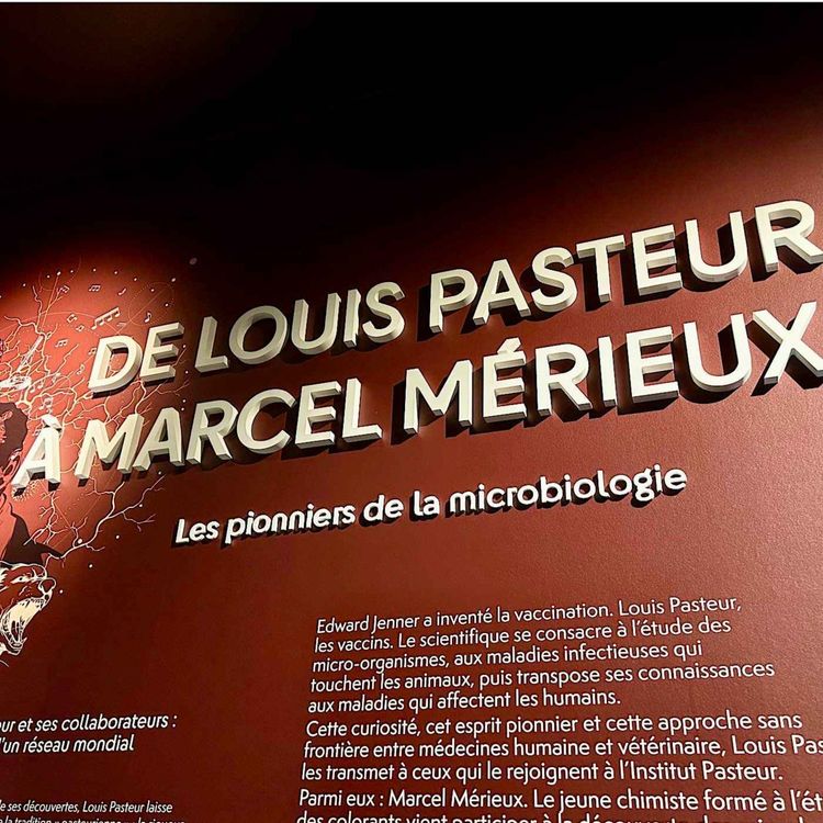 cover art for Musée Mérieux : les progrès de la biologie depuis l'Antiquité