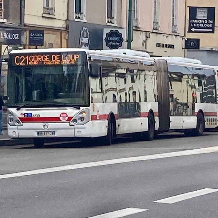 cover art for TCL : quand les bus se transforment en safe-place...