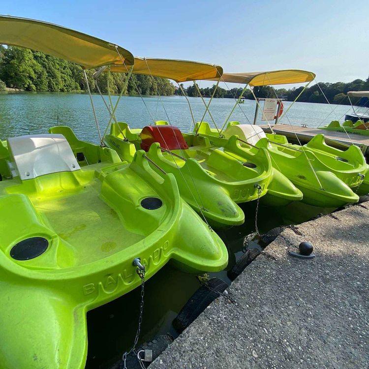 cover art for L'Embarcadère du Parc : 50 ans de balade romantique 