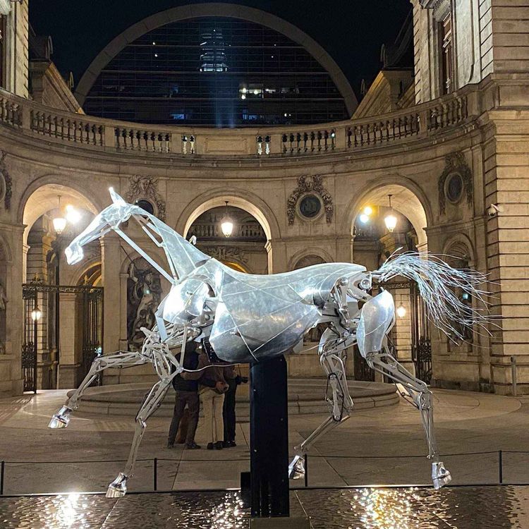 cover art for Zeus, le cheval des JO, galope dans la cour de la mairie de Lyon