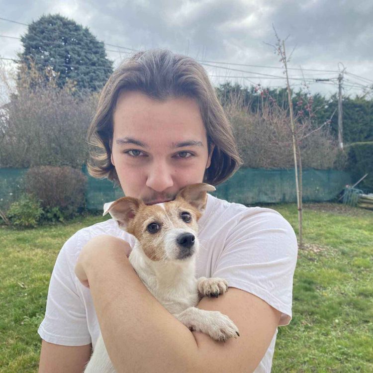 cover art for Doctopet : une plateforme de mise en relation pour le bien-être animal