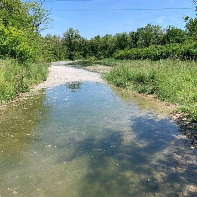 cover art for La renaissance de la lône de Jonage 