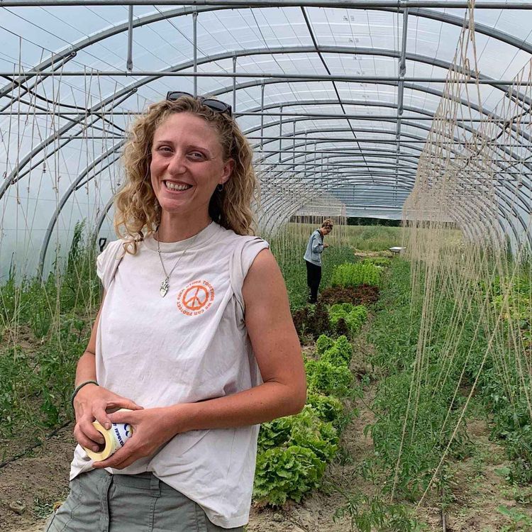 cover art for Terres du Velin : Emmanuelle Gharbi nouvelle maraîchère
