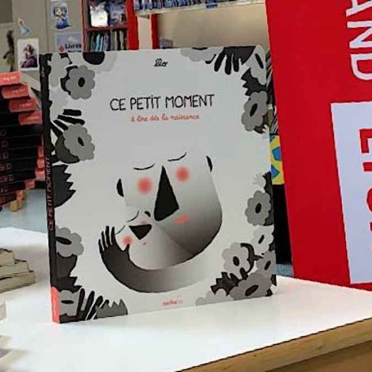 cover art for Premières pages : le dispositif s’installe à Lyon
