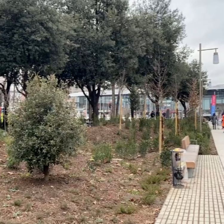 cover art for Bois de la Part-Dieu : la première tranche livrée...