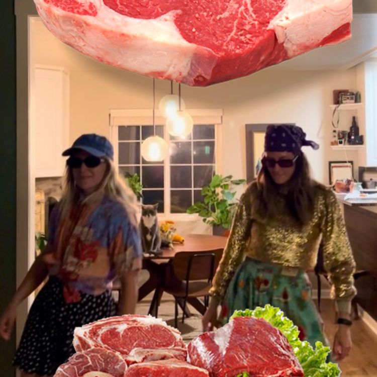 cover art for Nice To Meat You