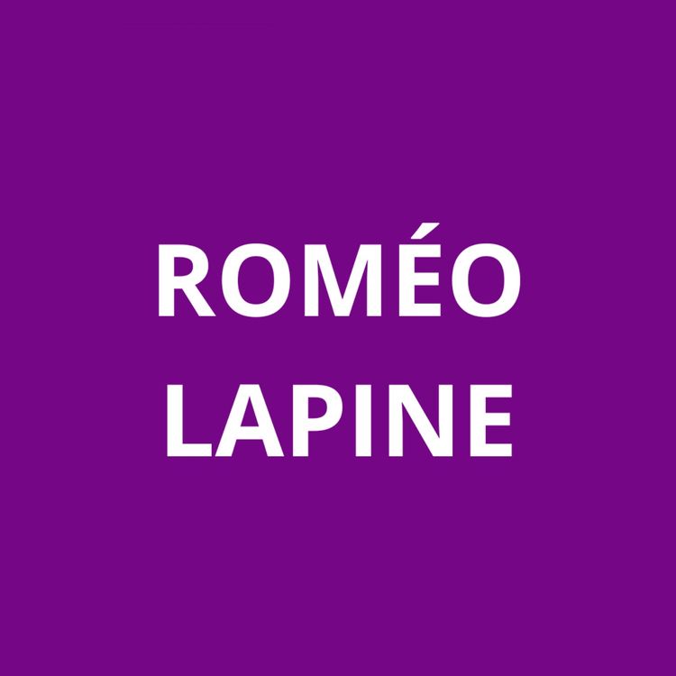 cover art for #9 Roméo Lapine: l'éducation comme arme de guerre