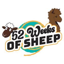 cover art for 52 Weeks of Sheep
