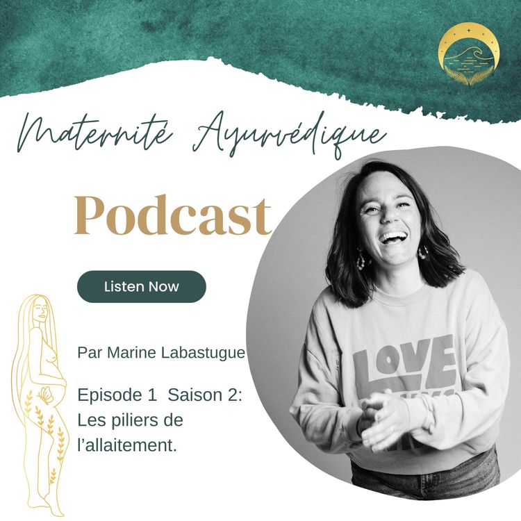 cover art for Les piliers de l'allaitement