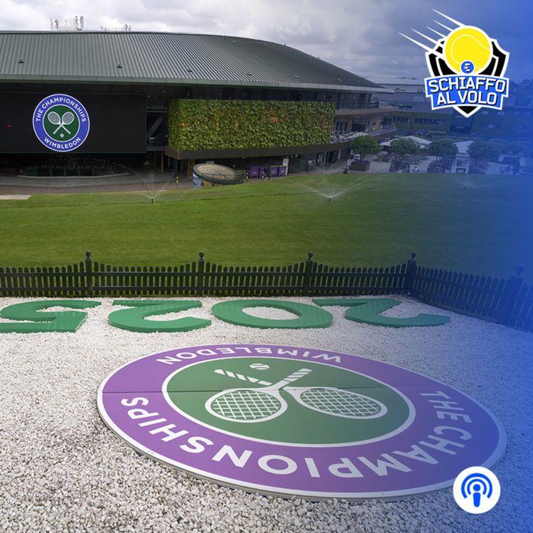 cover art for Wimbledon 2025, l'analisi del tabellone