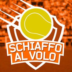 cover art for Schiaffo al volo