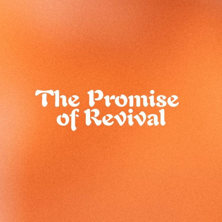 cover art for Do Not Miss This Move Of Revival | Tim Williams