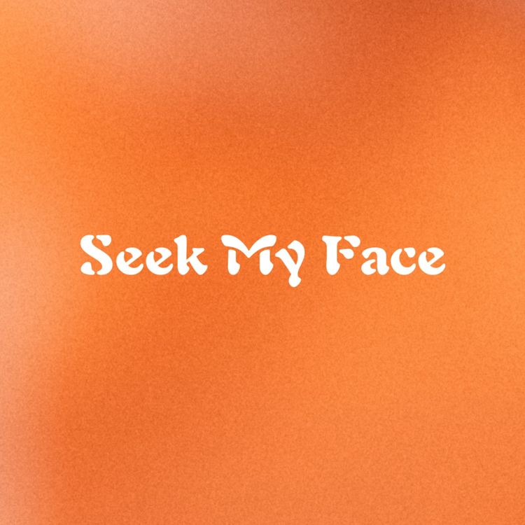 cover art for Seek My Face | Chris Gill @ New Bradwell