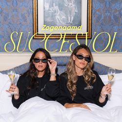 cover art for Zogenaamd Succesvol