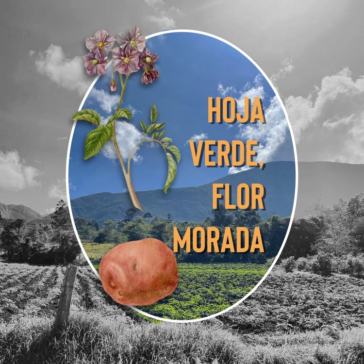 cover art for Hoja Verde, Flor Morada