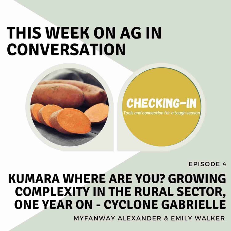 cover art for Kumara where are you? growing complexity in the rural sector, one year on - Cyclone Gabrielle