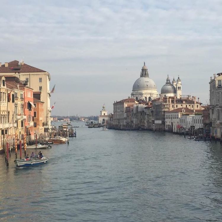 cover art for The Venice Biennale