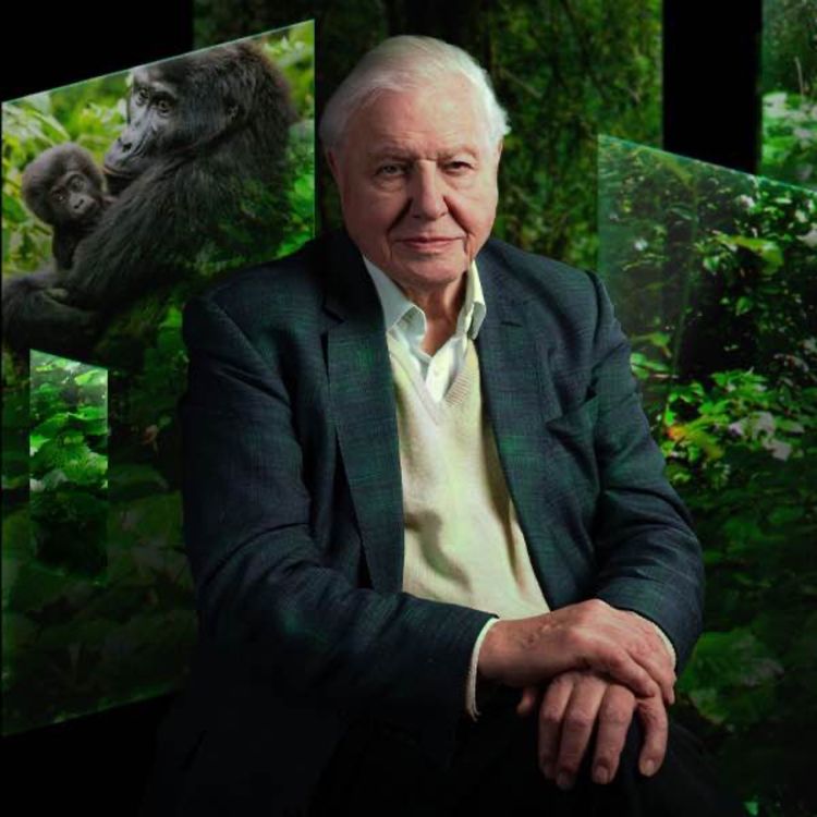 cover art for Our Story with David Attenborough 