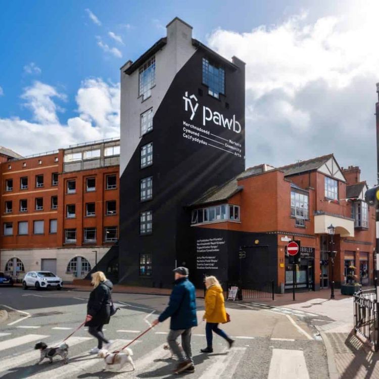 cover art for Ty Pawb; Wales' House for Everyone