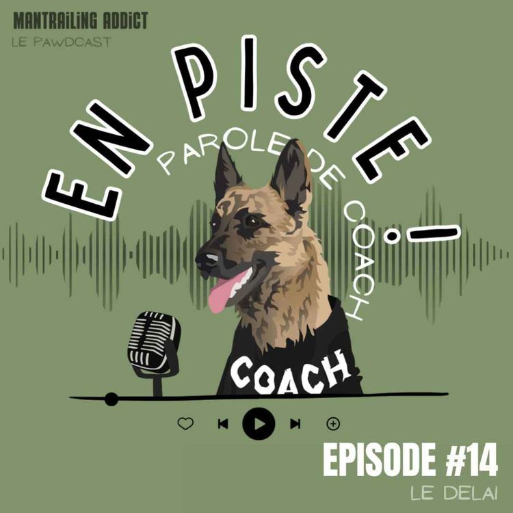 cover art for Le délai 