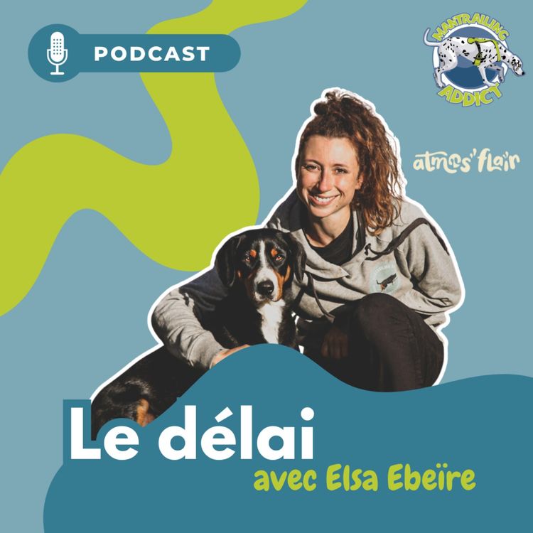 cover art for Le délai 