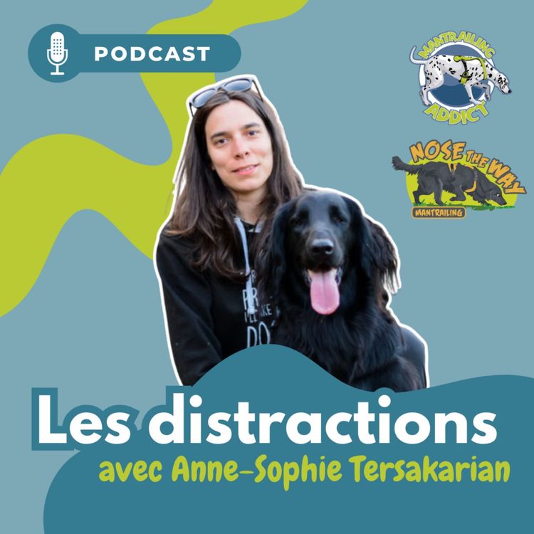 cover art for Les distractions