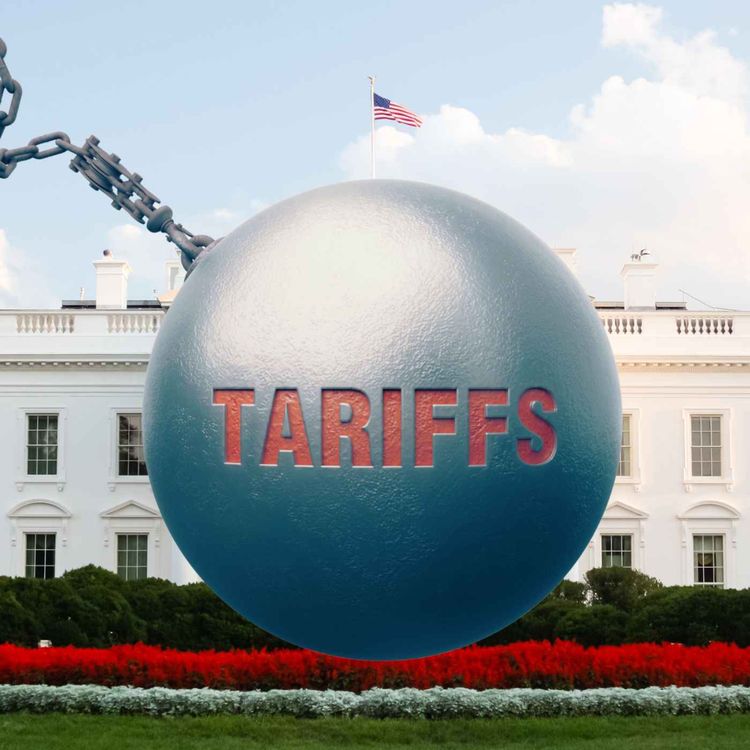 cover art for Trump’s Tariff Policy: Economic Masochism or a Power Play for the Wealthy? 