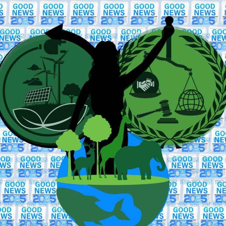 cover art for The Best Environmental News Stories of 2025