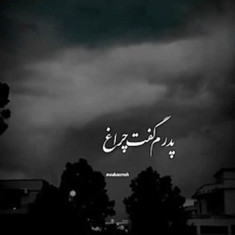 cover art for من نمی دانستم معنی هرگز را...