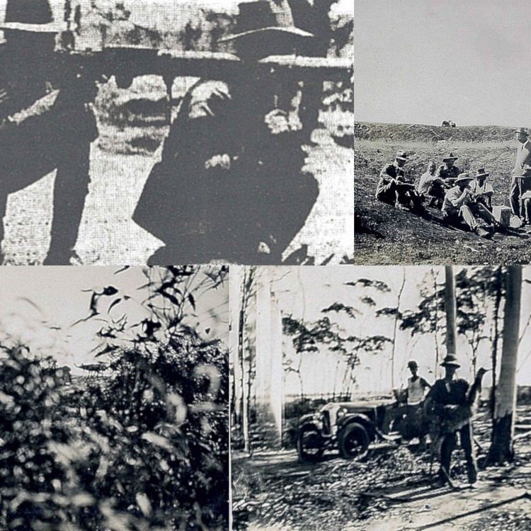 cover art for Episode 75: The Great Emu War