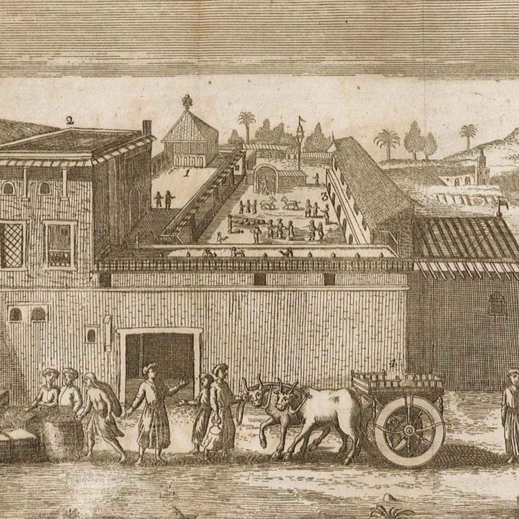 cover art for Episode 402: The East India Company - Part 2: Footholds and Factories