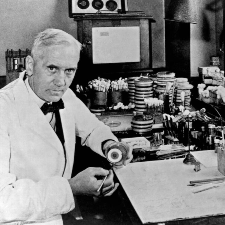 cover art for Episode 151: The History of Penicillin
