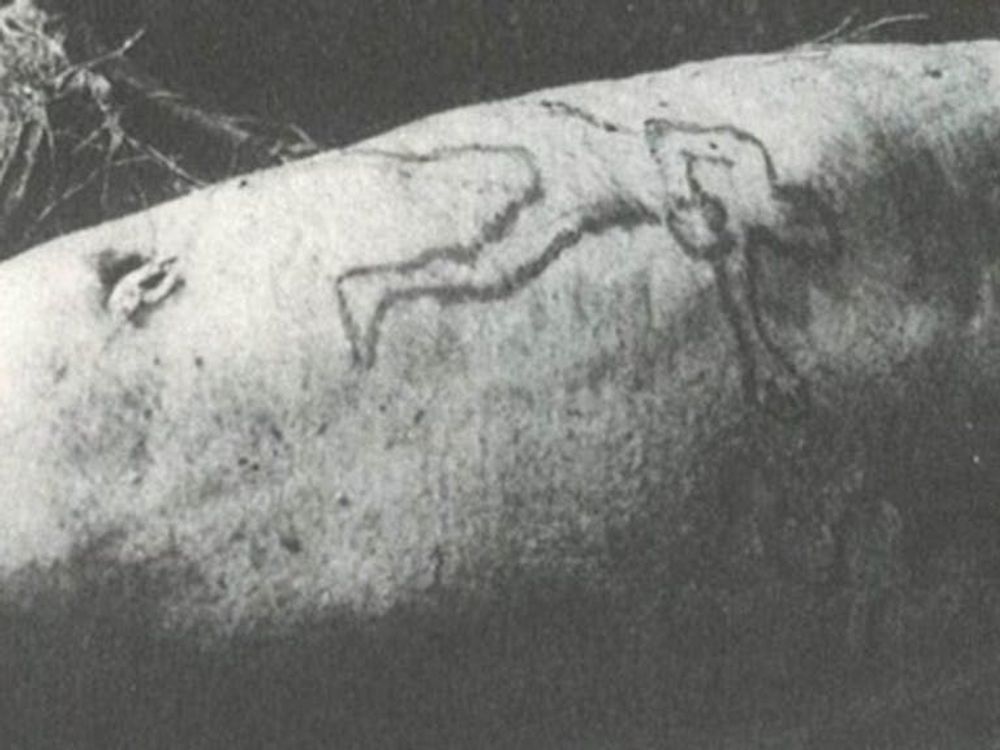 cover art for Episode 108: The Shark Arm Murder