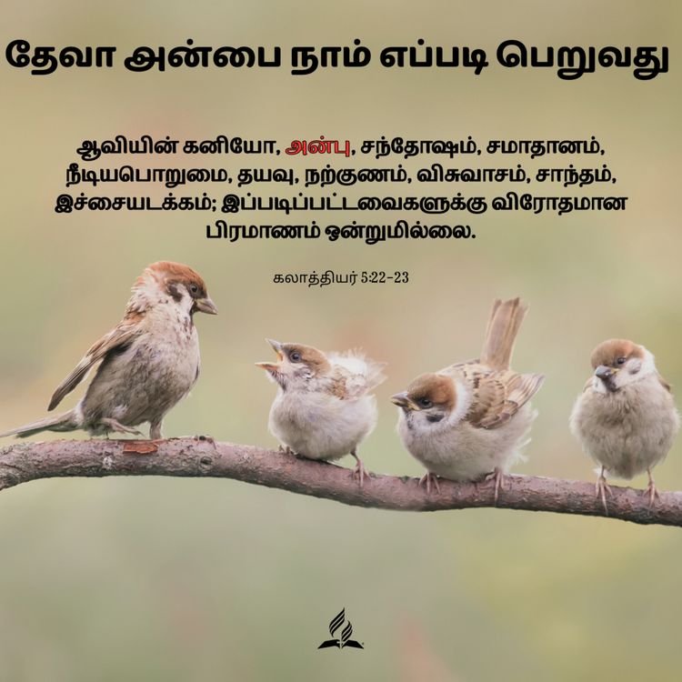 cover art for Daily Devotion - How can we get the love of God? - 02-Jan-2024 - Galatians 5:22-23 