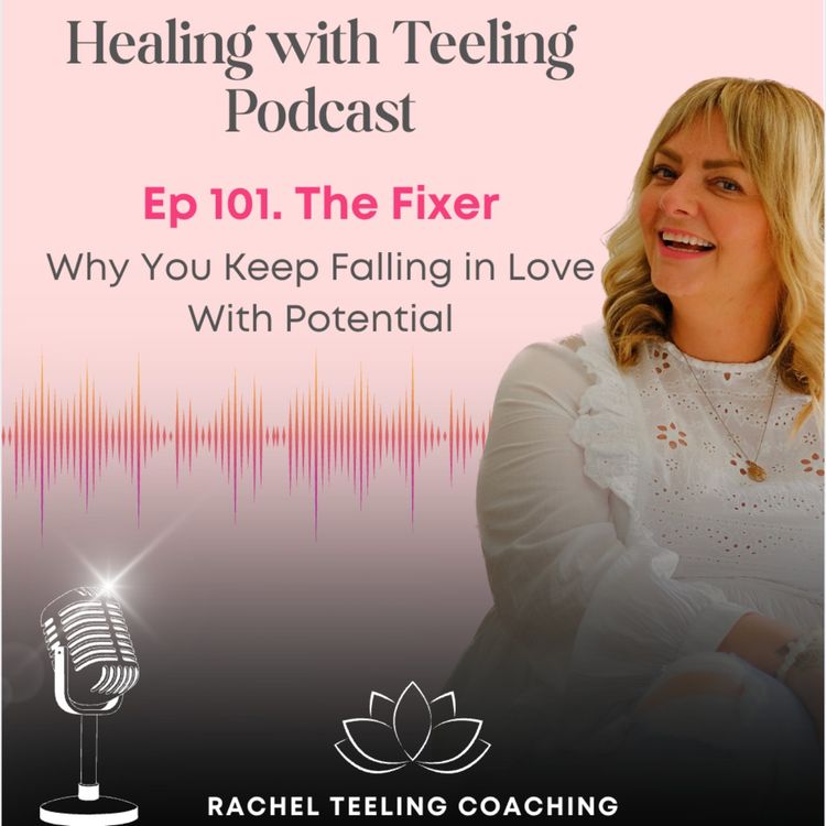 cover art for The Fixer