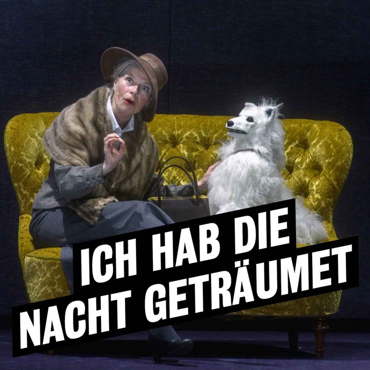 cover art for Audioeinführung "Ich hab die Nacht geträumet"