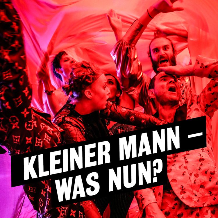 cover art for Audioeinführung "Kleiner Mann - was nun?" 