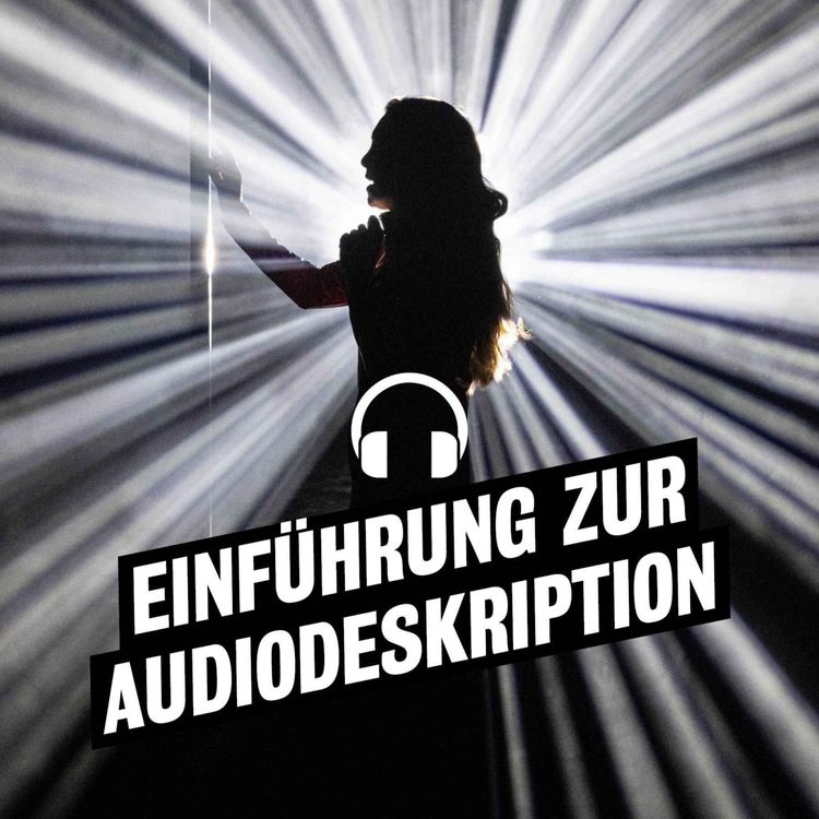 cover art for Audiodeskreptive Einführung "It's Britney, Bitch!"